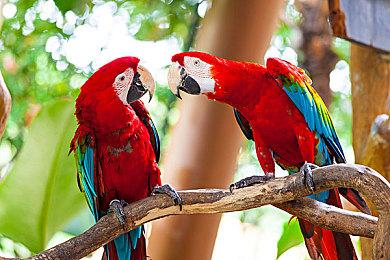 《神之浩劫2》开启不间断A测 进度和道具可永久保留